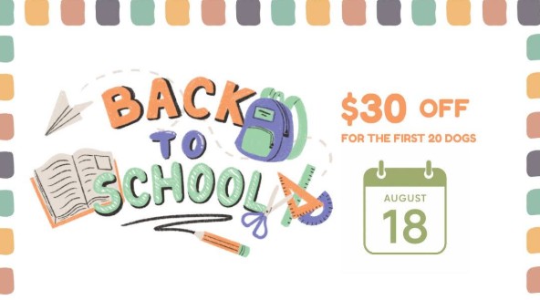 Back To School Flea & Tick Protection