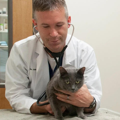 Dr. Houghton